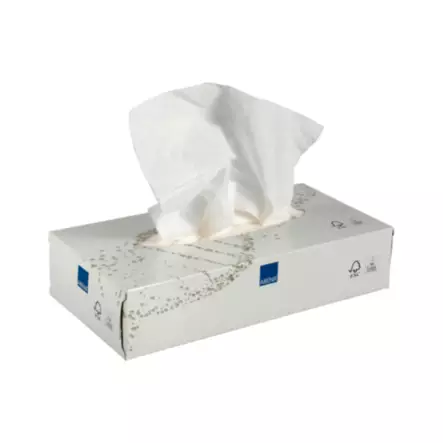 CARE-NESS Excellent kasvopyyhe 2krs - Käsipaperit - AB6210-kasvopaperi - 1